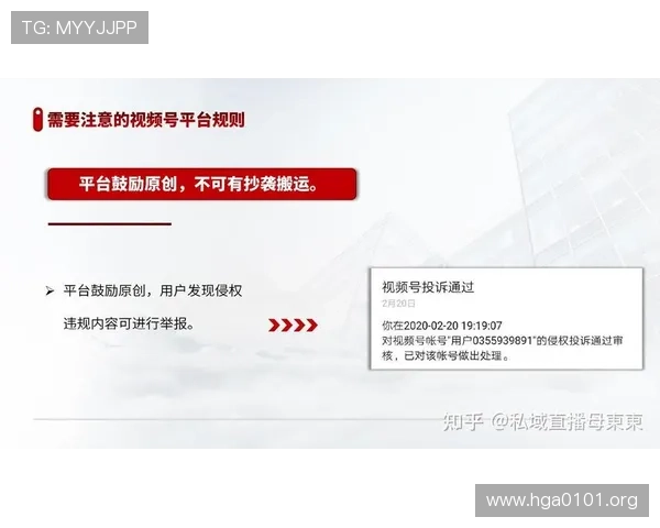 1号娱乐下载全方位解析：从入门到精通的完整教程